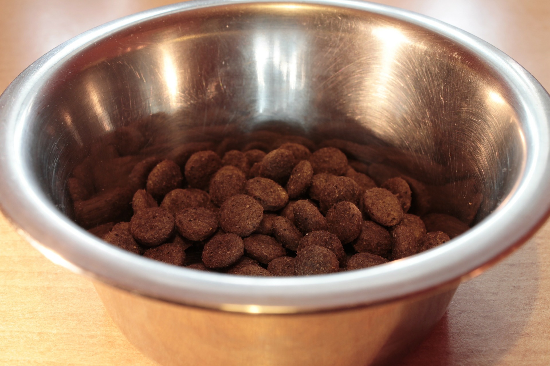 Kirkland small outlet dog food ingredients